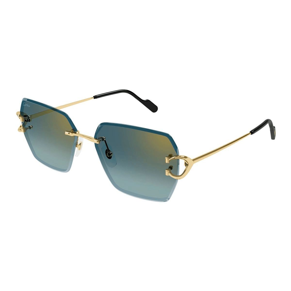 CARTIER CT0466S 58