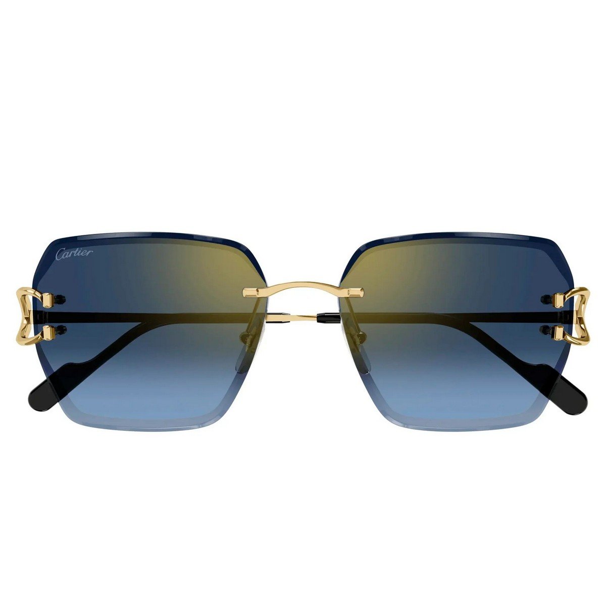 CARTIER CT0466S 58