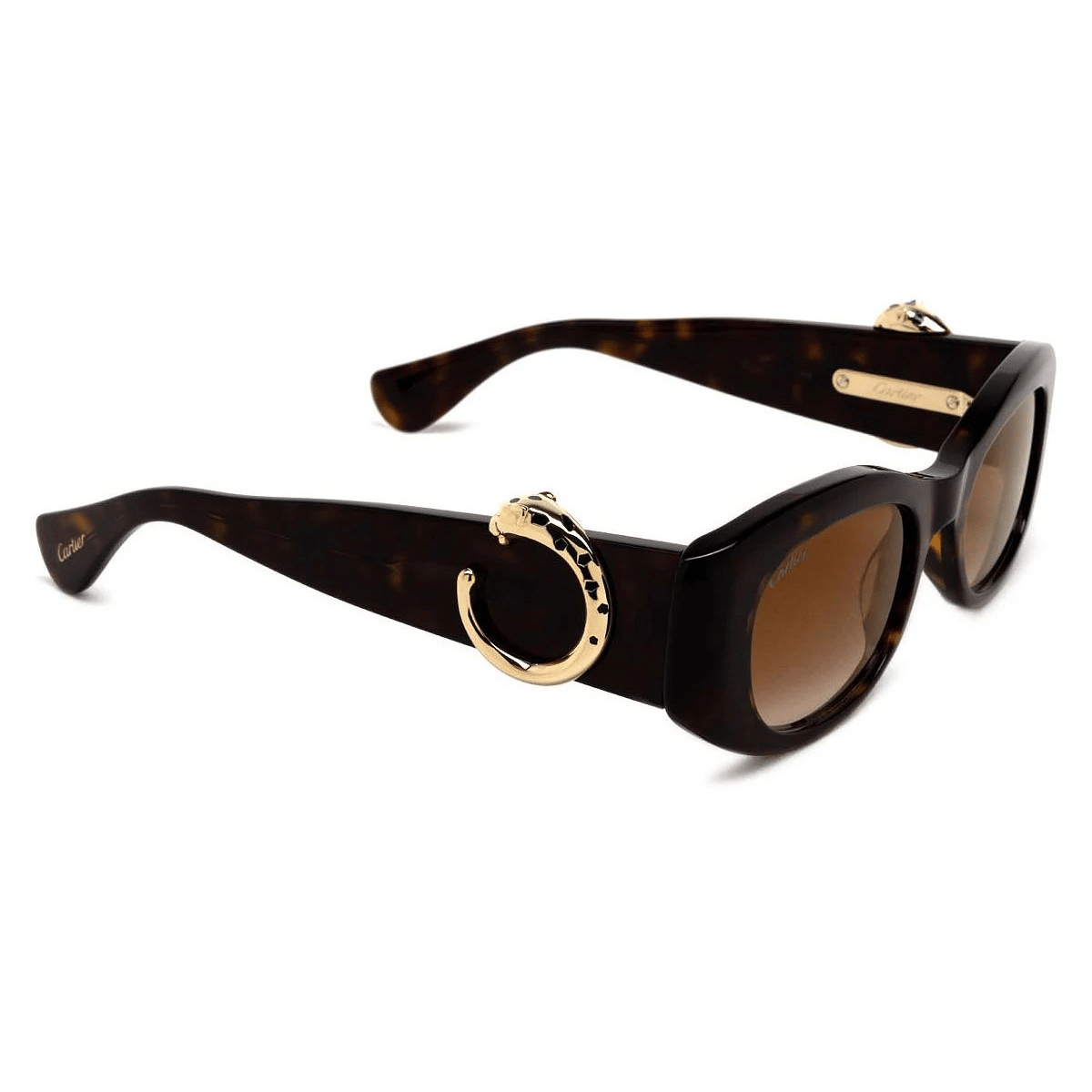 CARTIER CT0472S 51