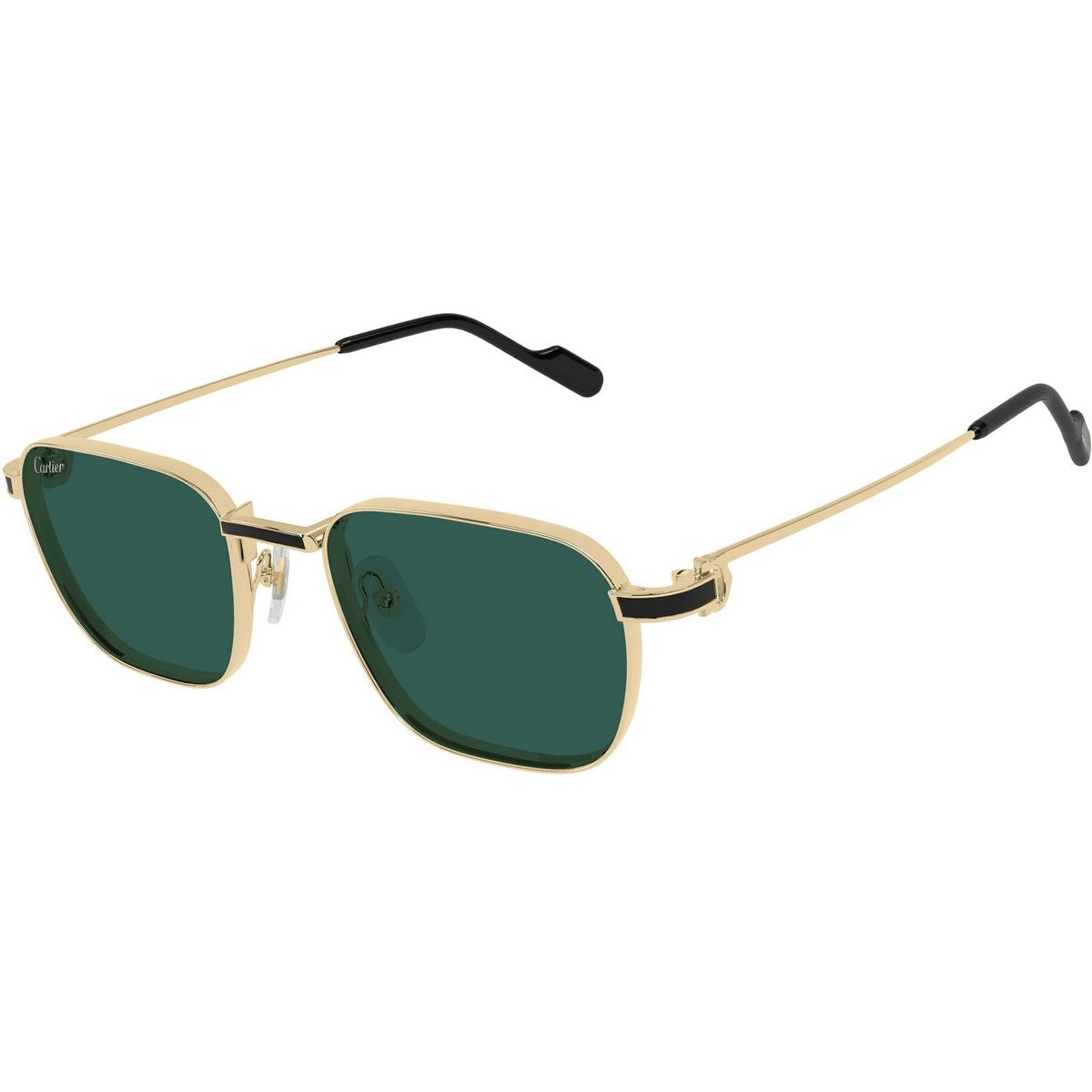 CARTIER CT0497S 54