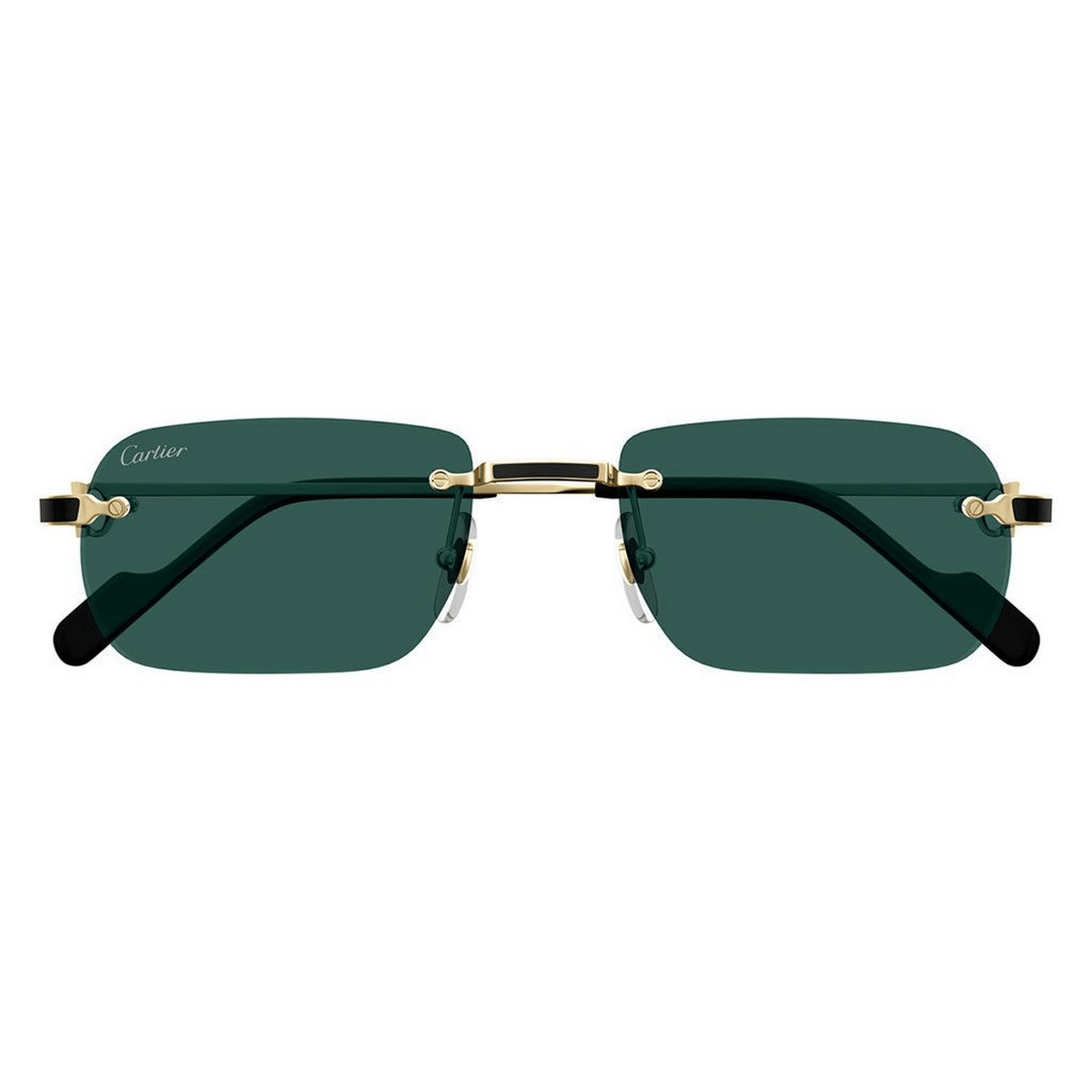 CARTIER CT0498S 55