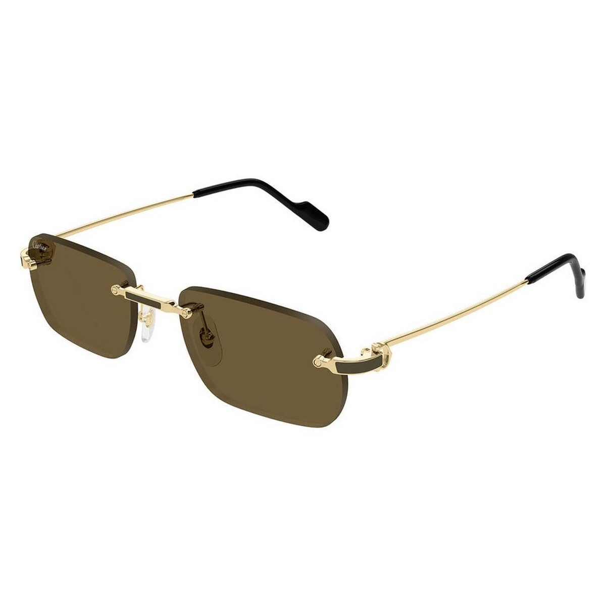 CARTIER CT0498S 55