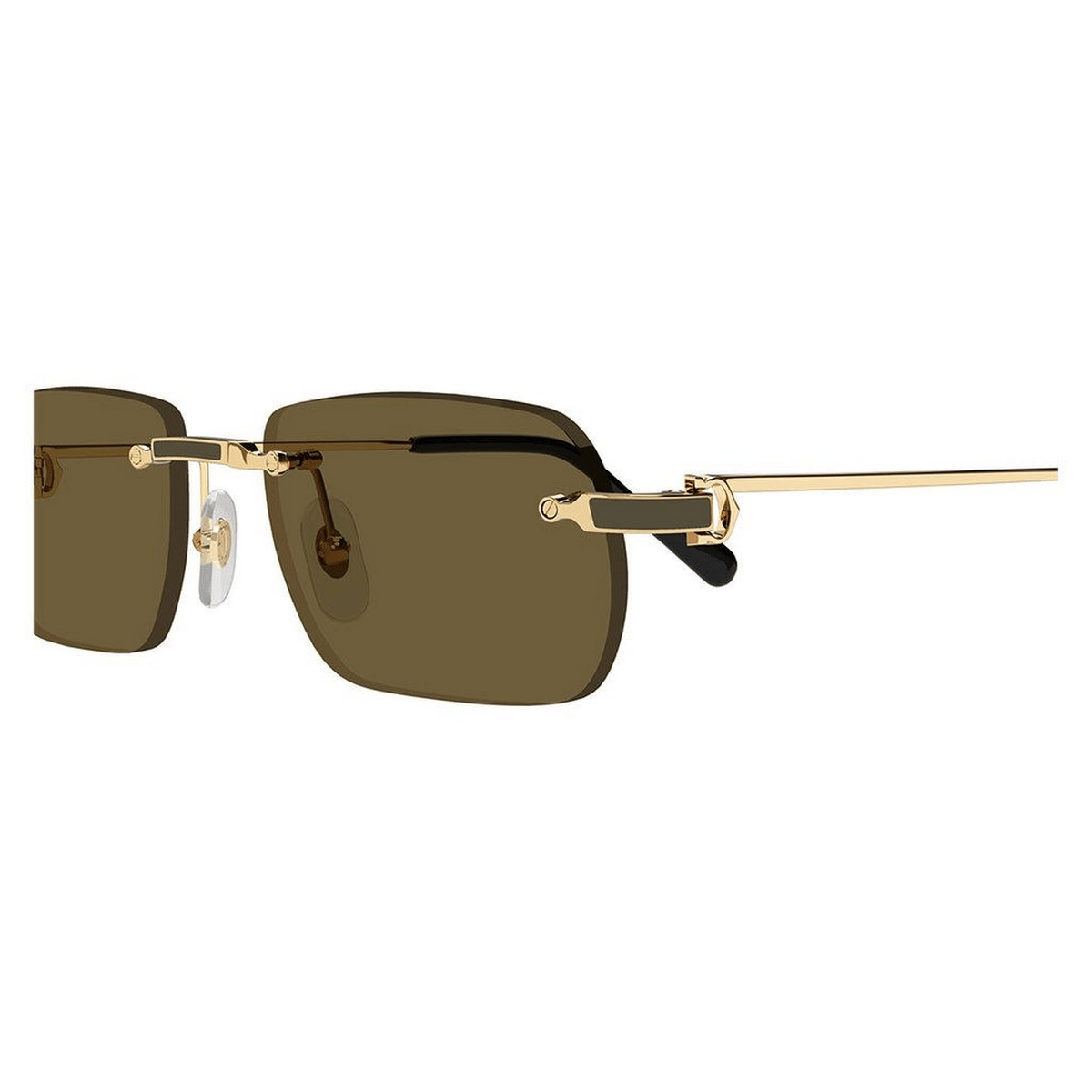 CARTIER CT0498S 55