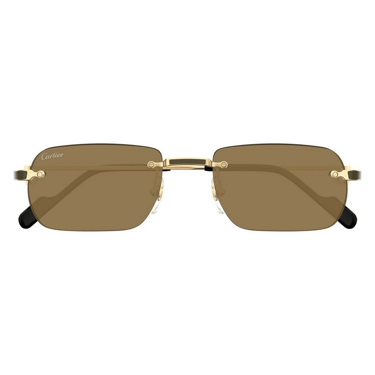 CARTIER CT0498S 55