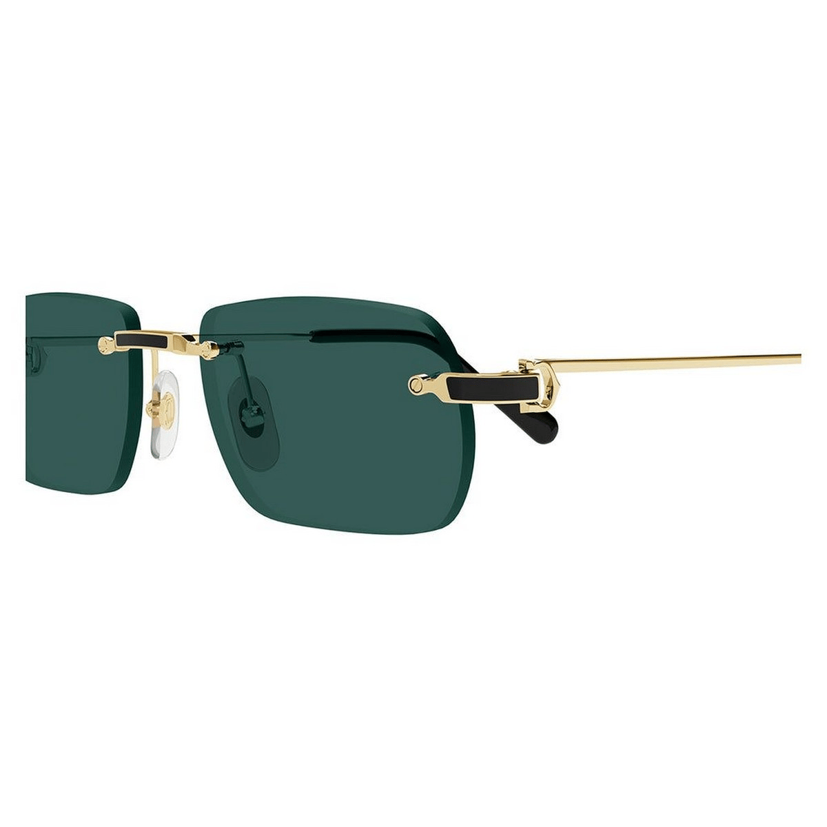 CARTIER CT0498S 55