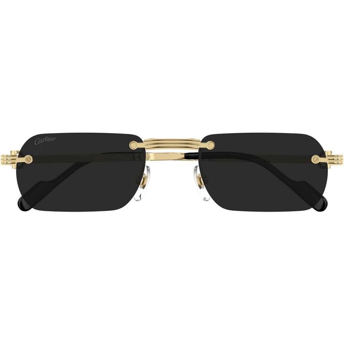 CARTIER CT0499S 55