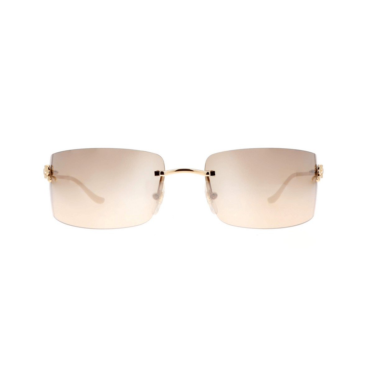 CARTIER CT0503S 71