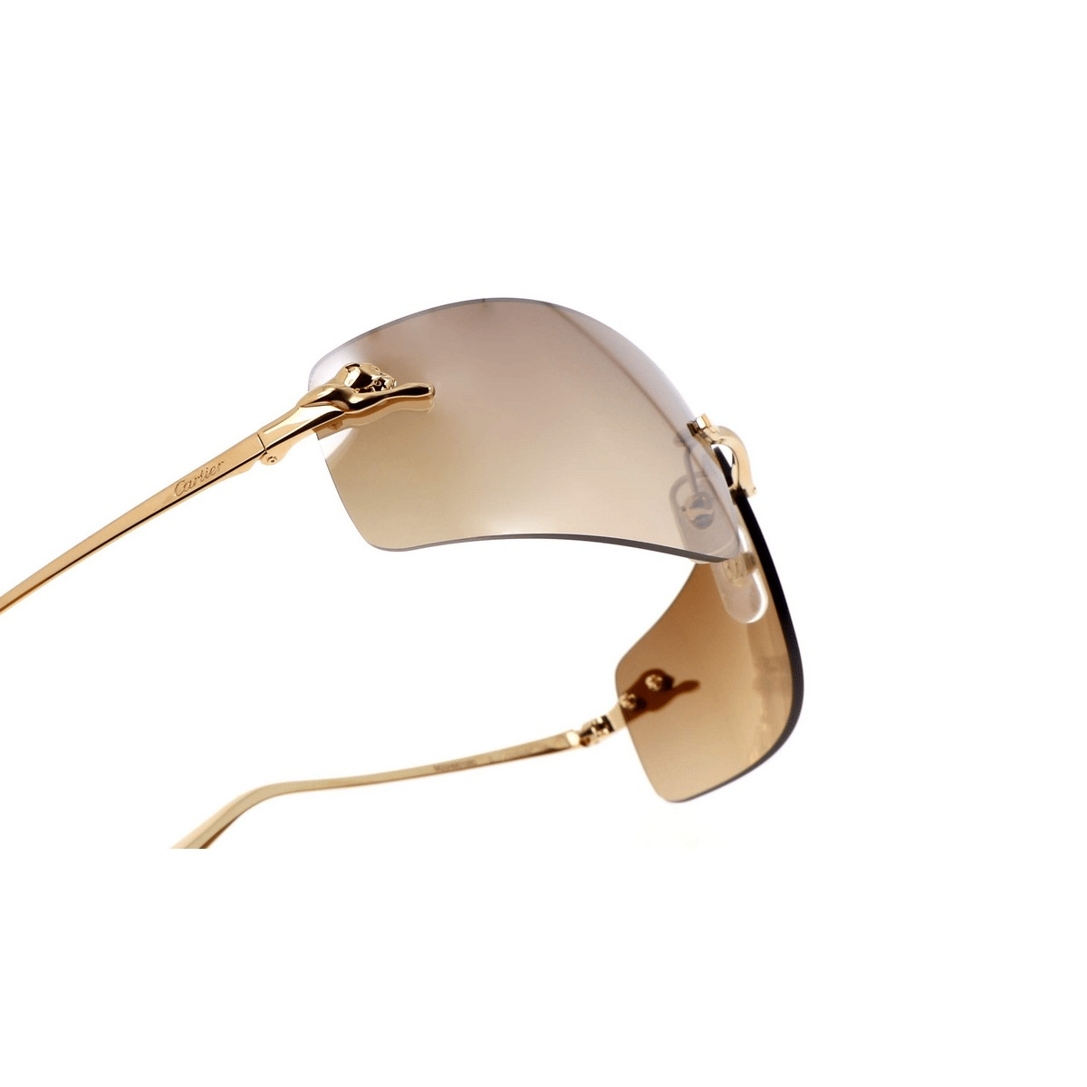 CARTIER CT0503S 71