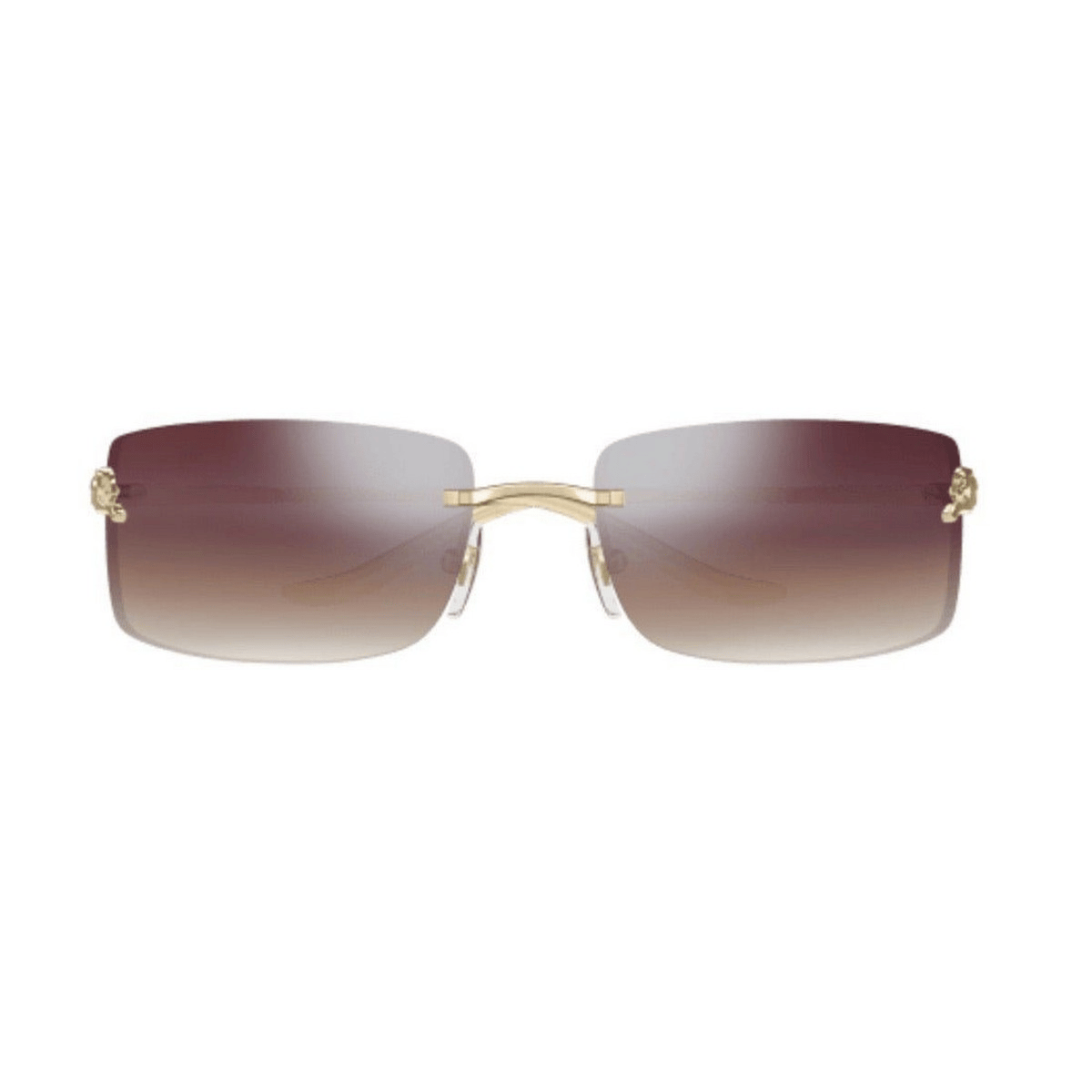 CARTIER CT0503S 71