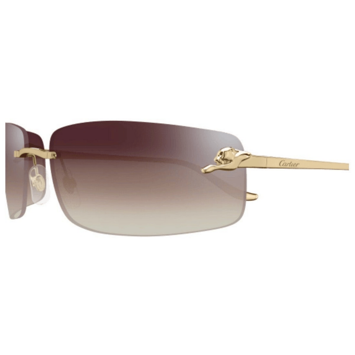 CARTIER CT0503S 71