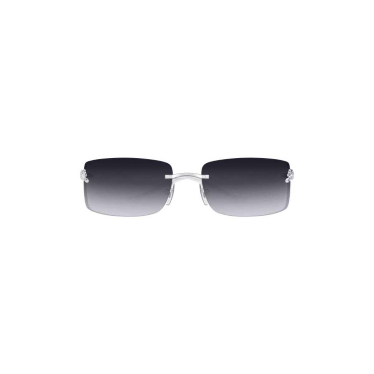 CARTIER CT0503S 71