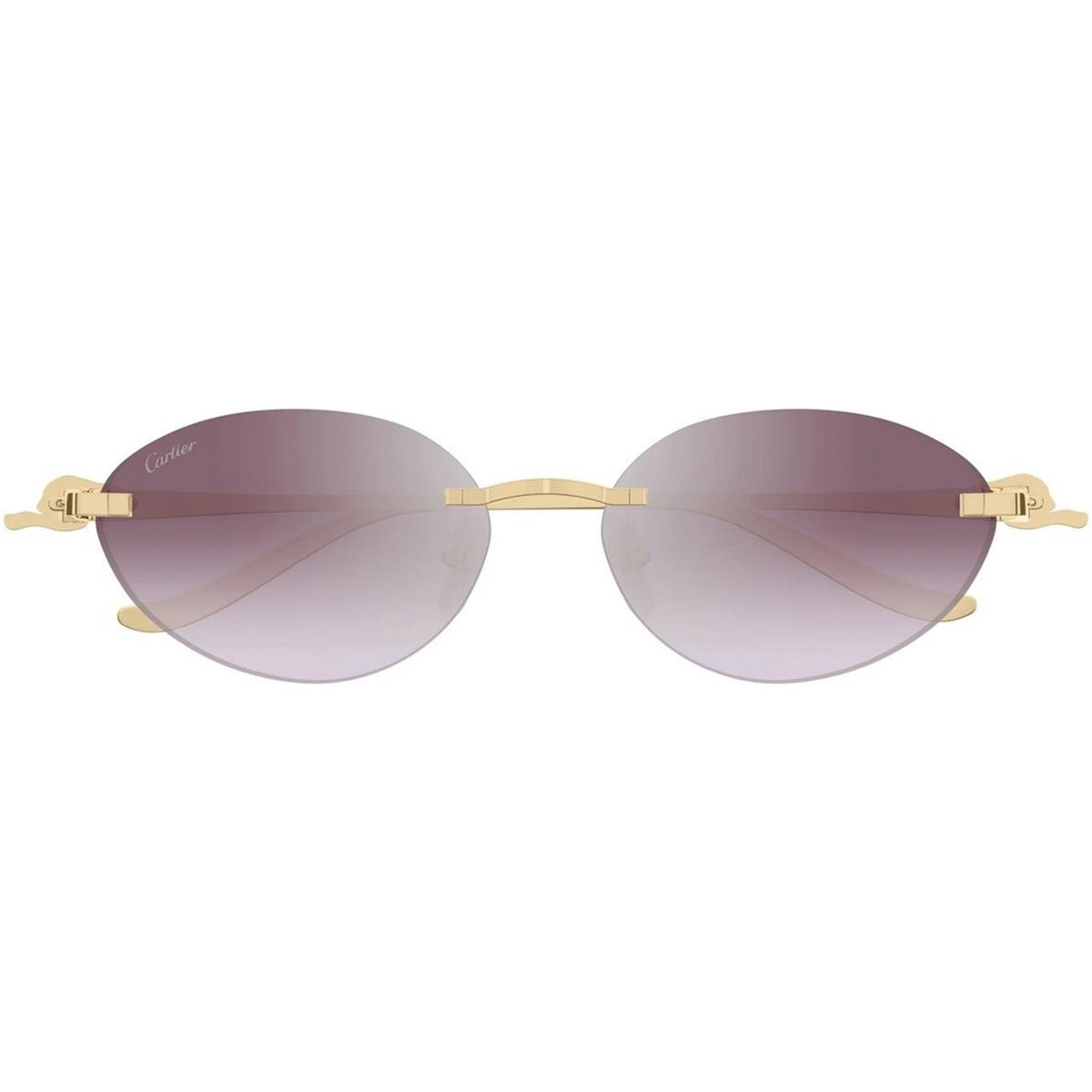 CARTIER CT0504S 58