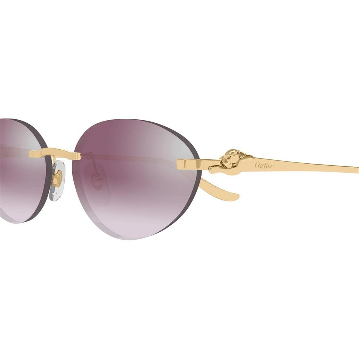CARTIER CT0504S 58