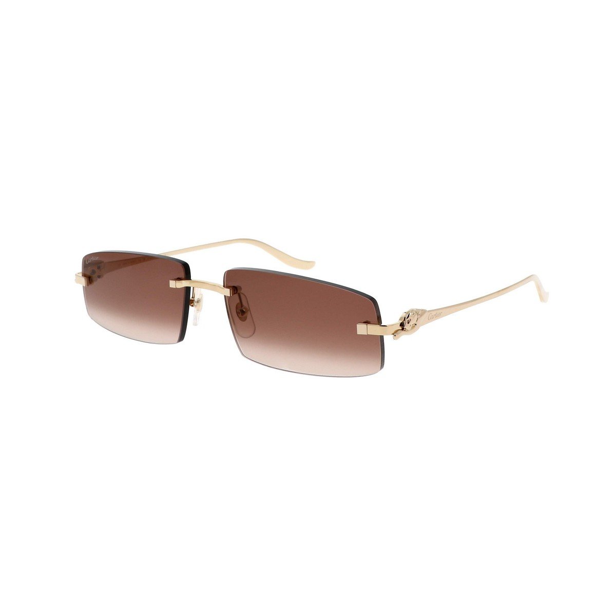 CARTIER CT0505S 58