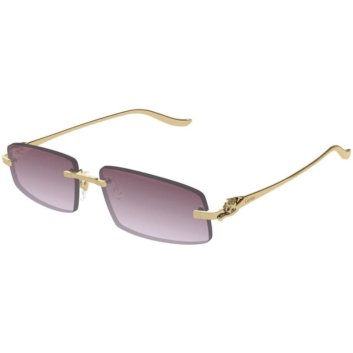 CARTIER CT0505S 58