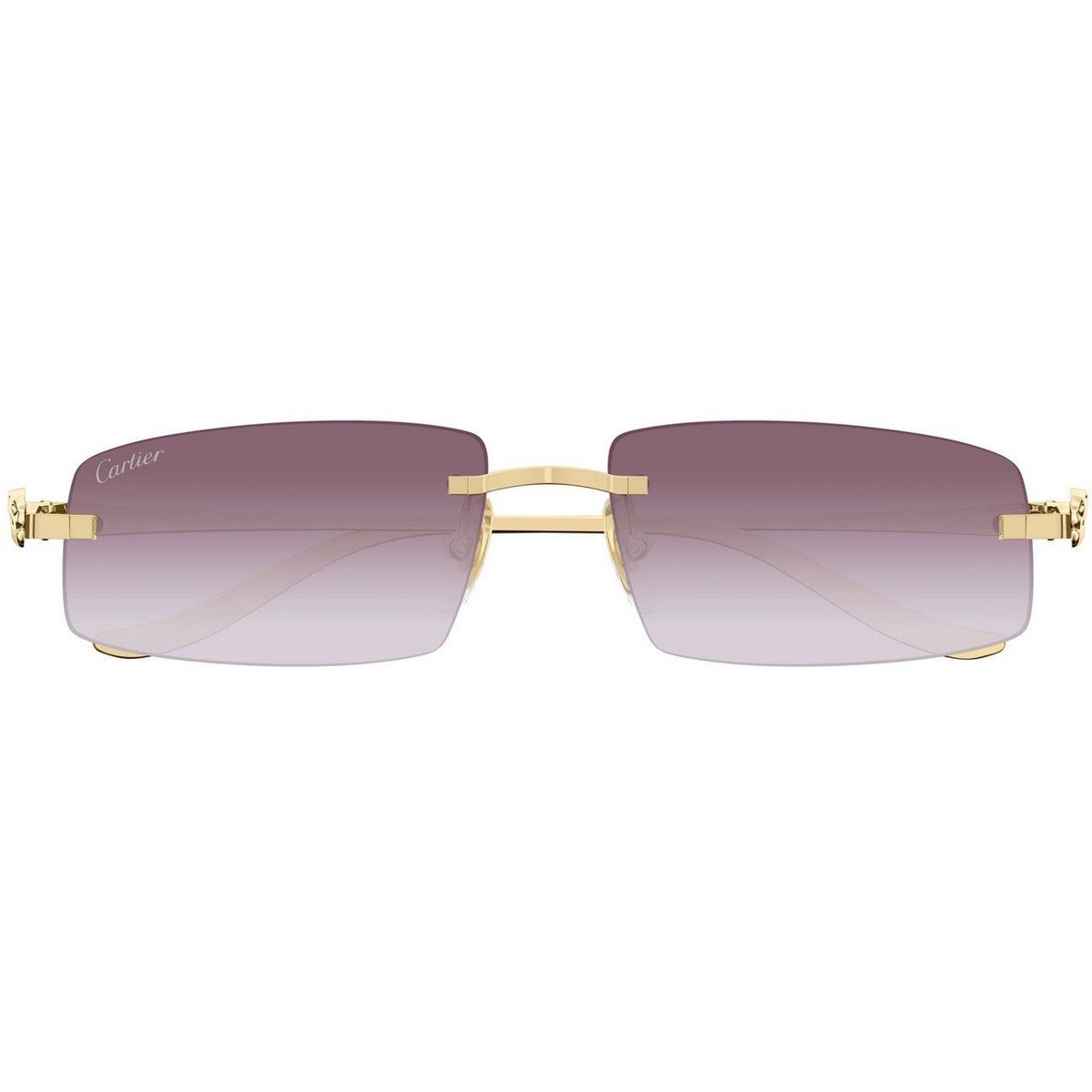 CARTIER CT0505S 58