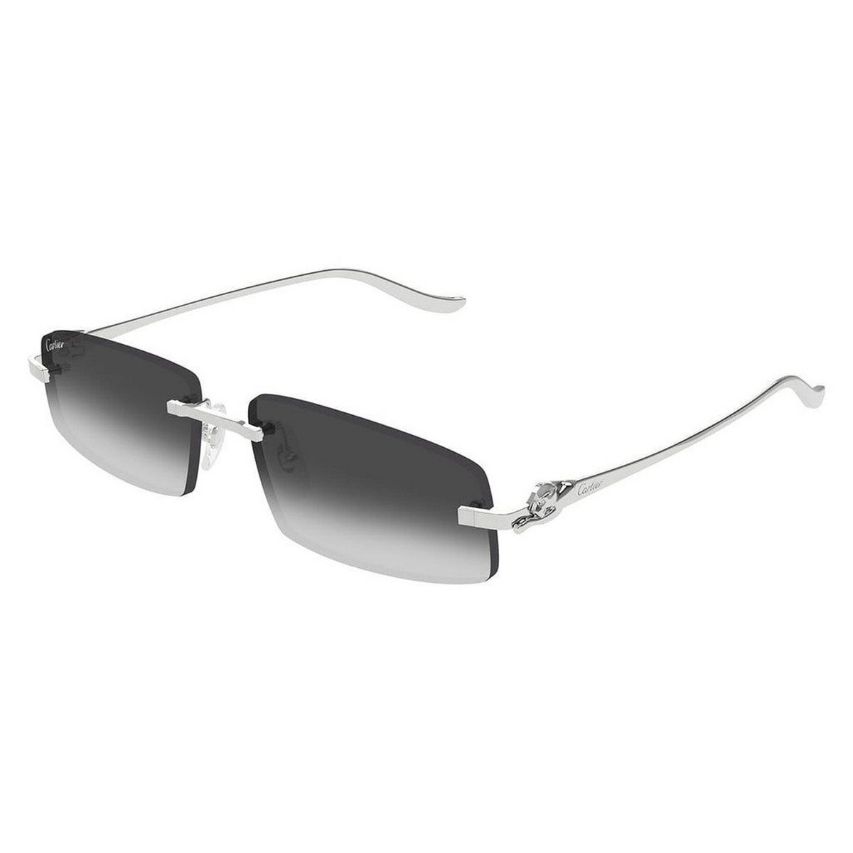 CARTIER CT0505S 58