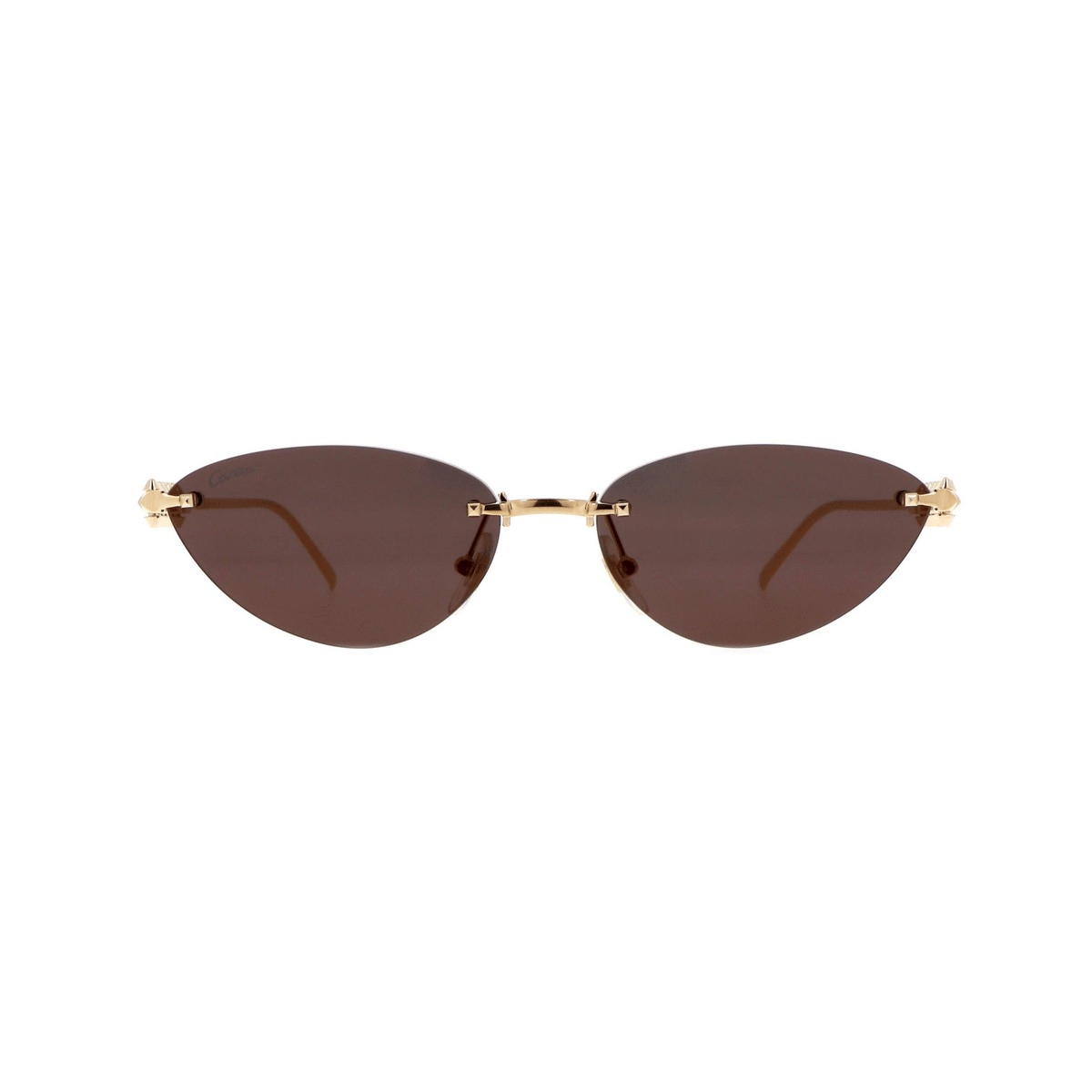 CARTIER CT0543S 58