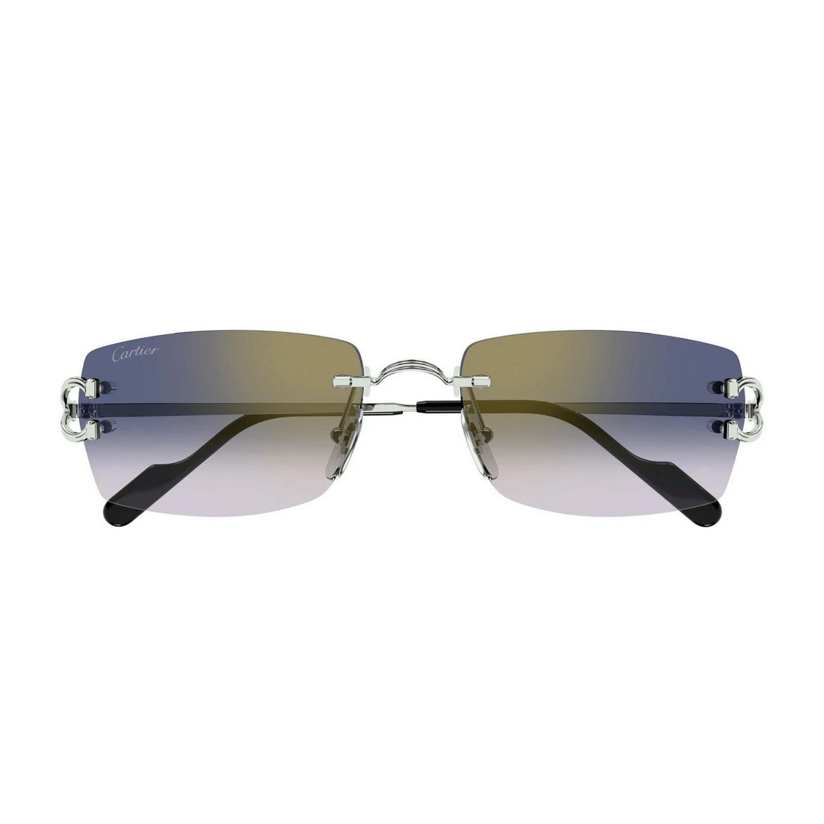 CARTIER CT0550S 56