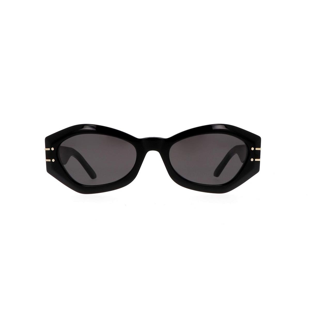 DIOR SIGNATURE B1U 55