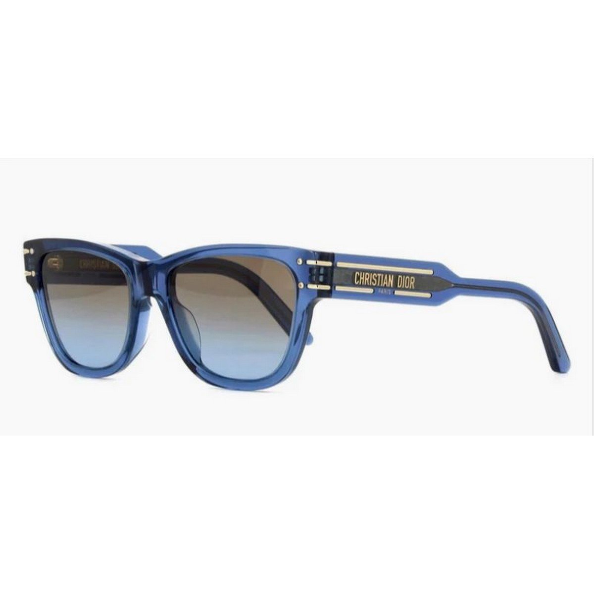 DIOR SIGNATURE S6U 54