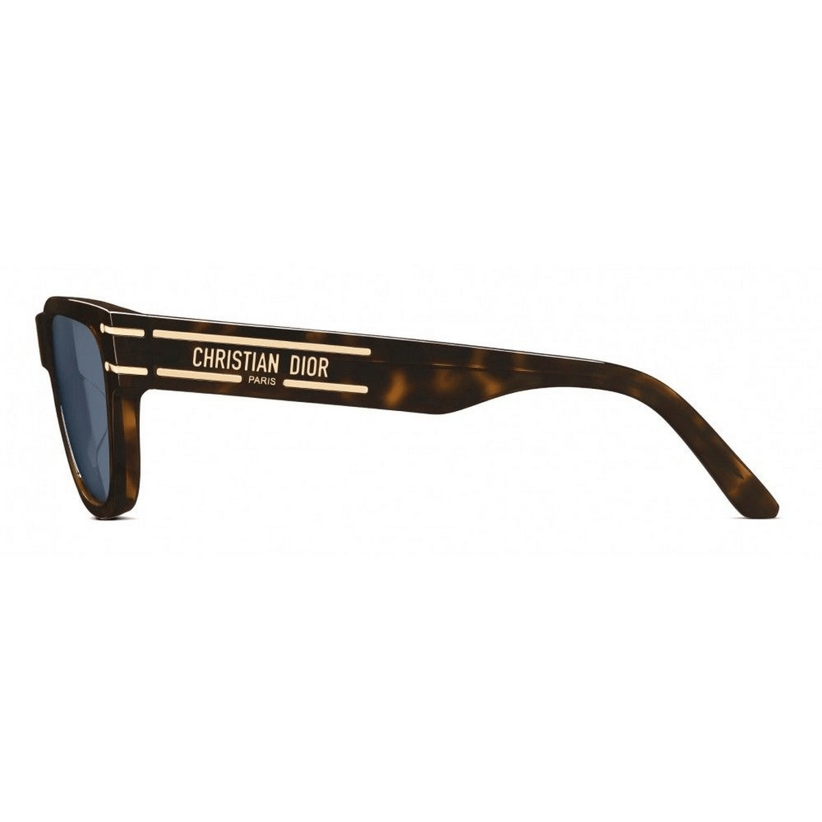 DIOR SIGNATURE S6U 54