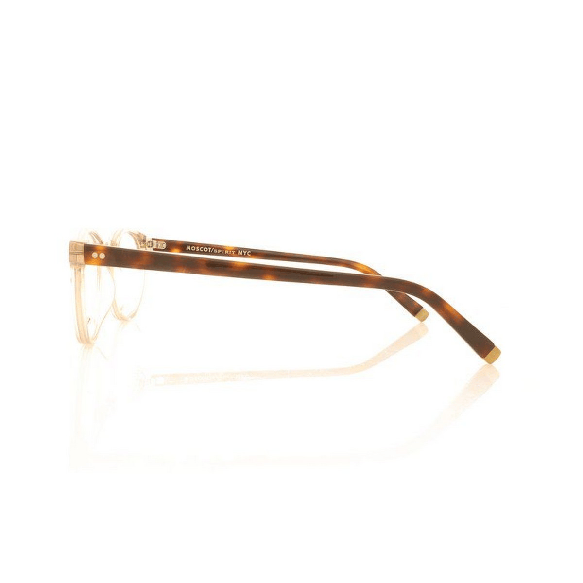 MOSCOT FRANKIE 48