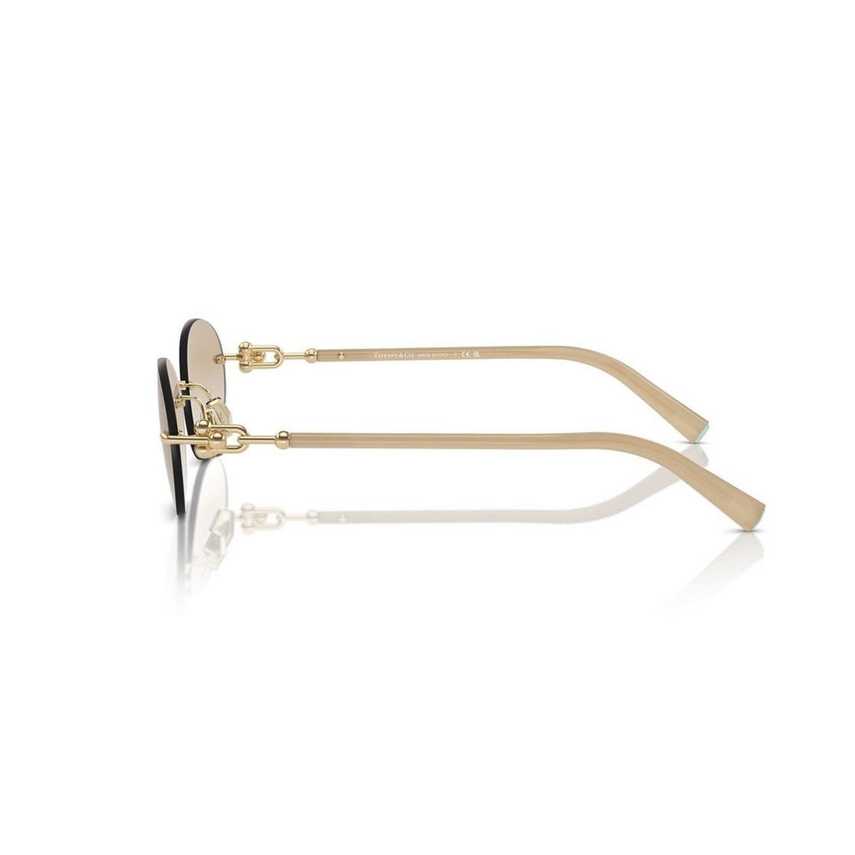 TIFFANY&CO TF3104-D 56
