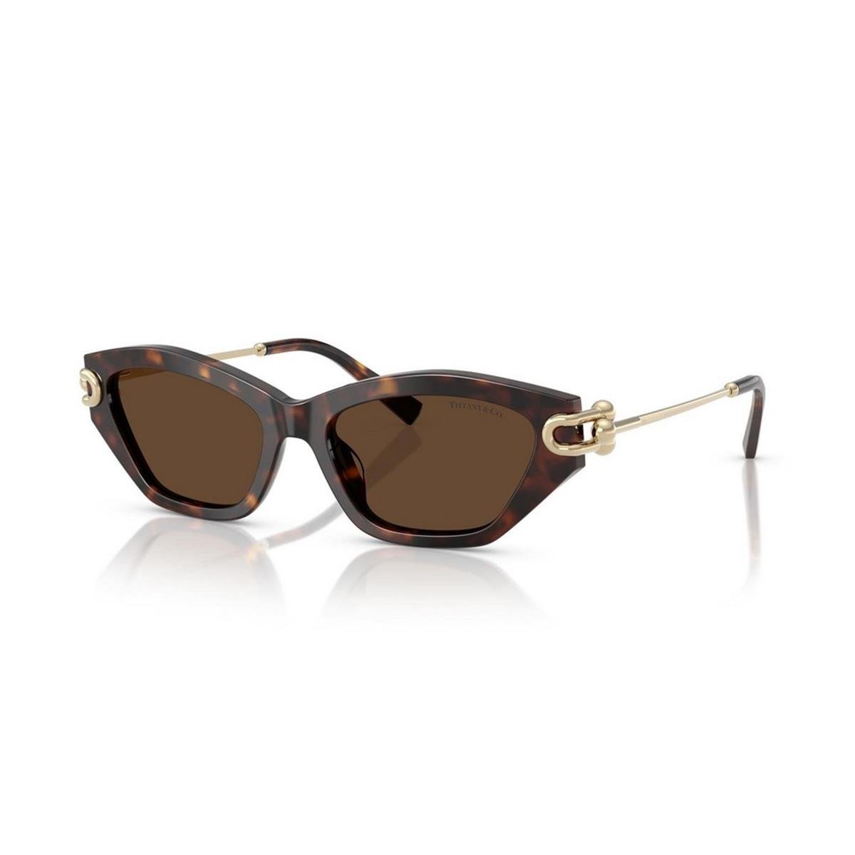 TIFFANY&CO TF4231U 53