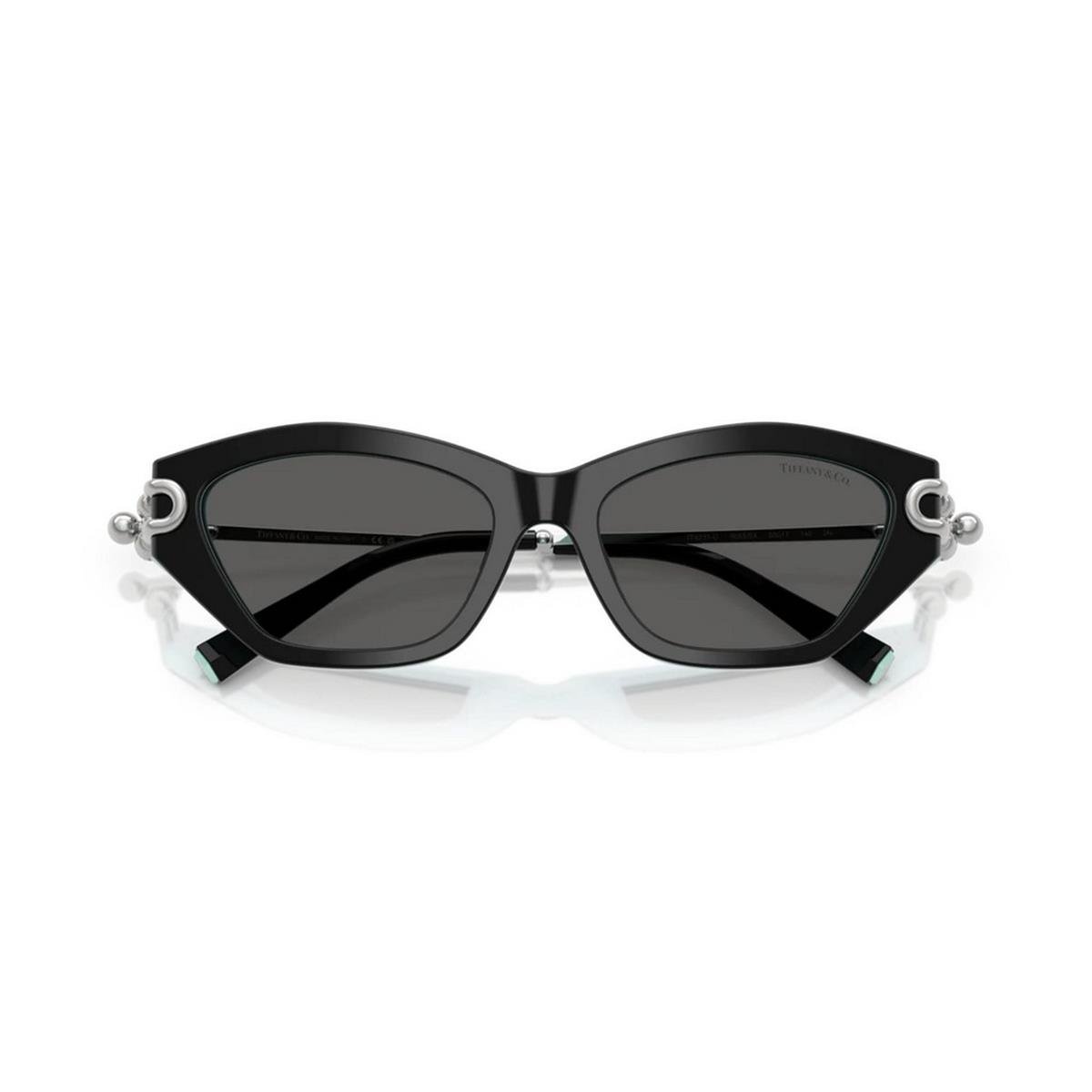 TIFFANY&CO TF4231U 53