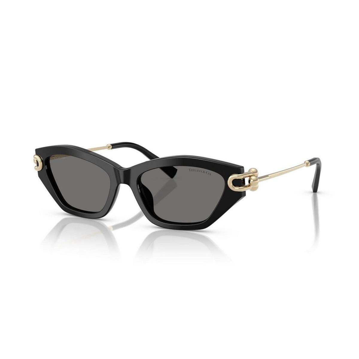 TIFFANY&CO TF4231U 53