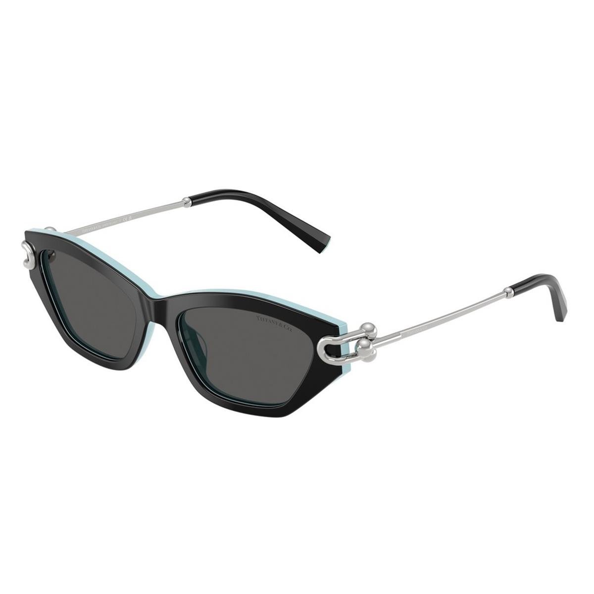 TIFFANY&CO TF4231U 53