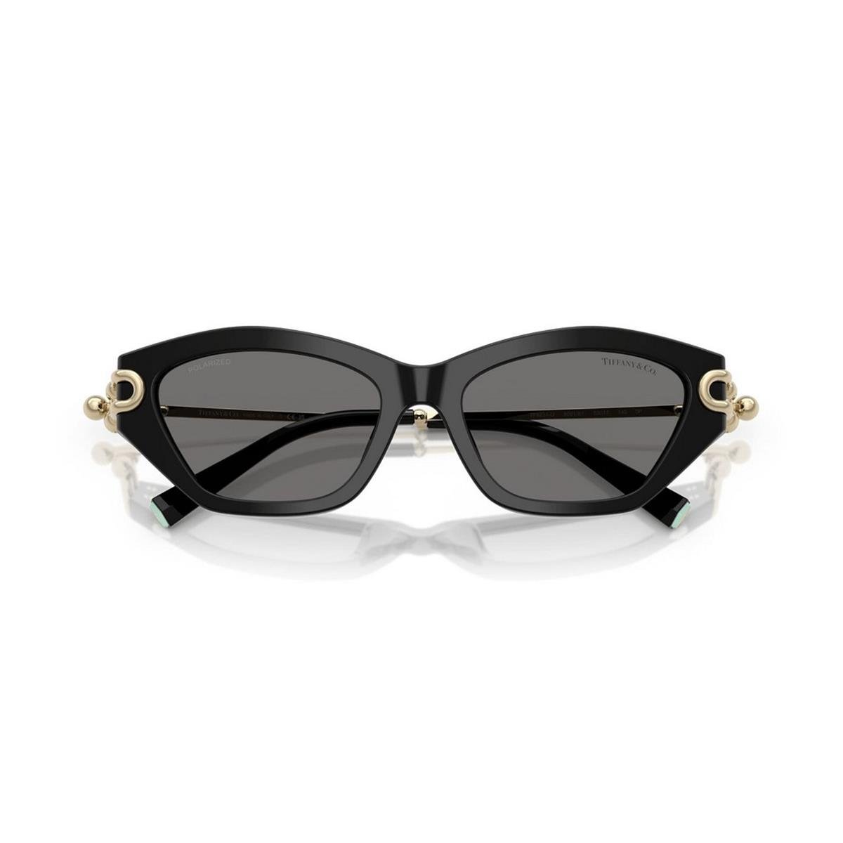 TIFFANY&CO TF4231U 53