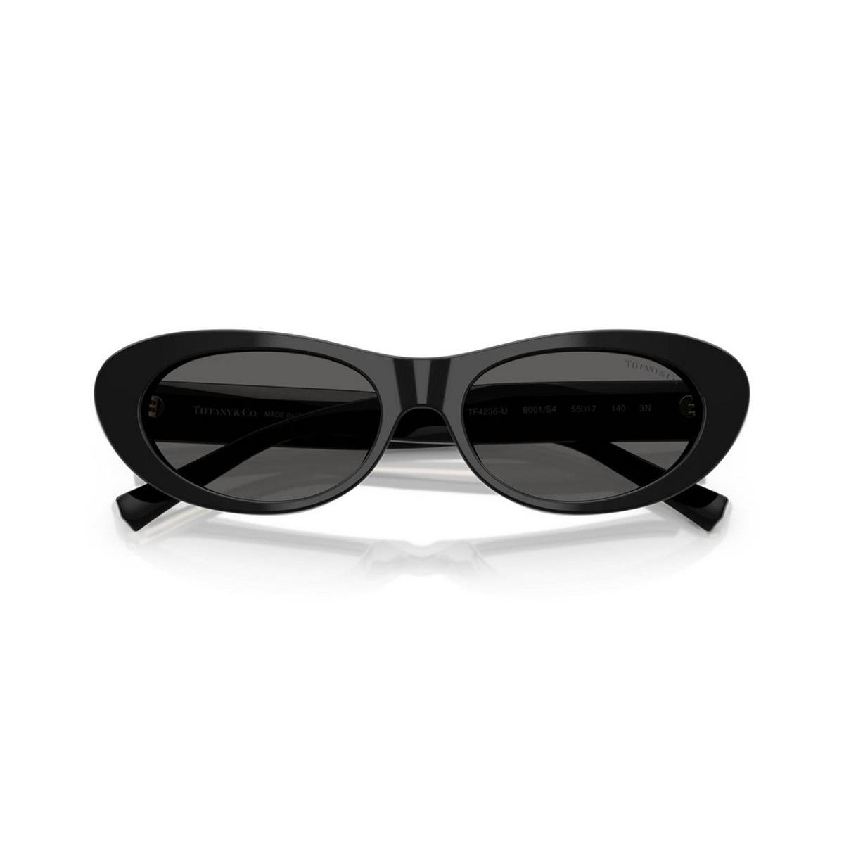 TIFFANY&CO TF4236U 55