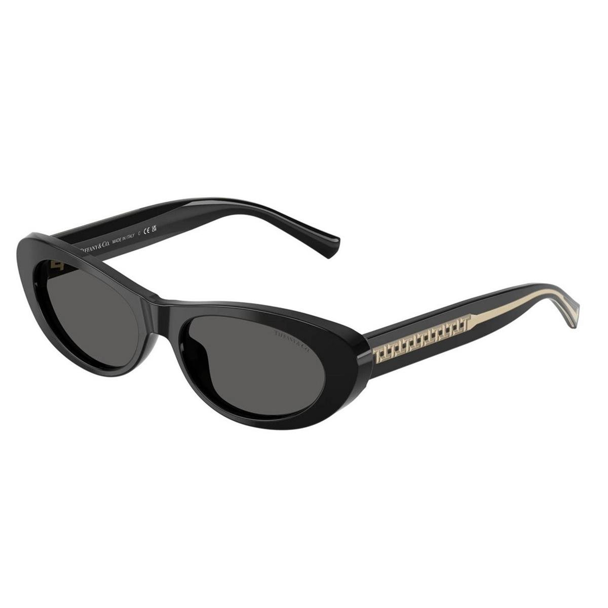 TIFFANY&CO TF4236U 55