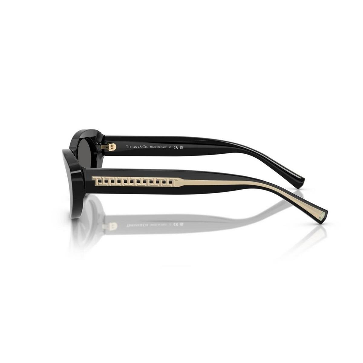 TIFFANY&CO TF4236U 55