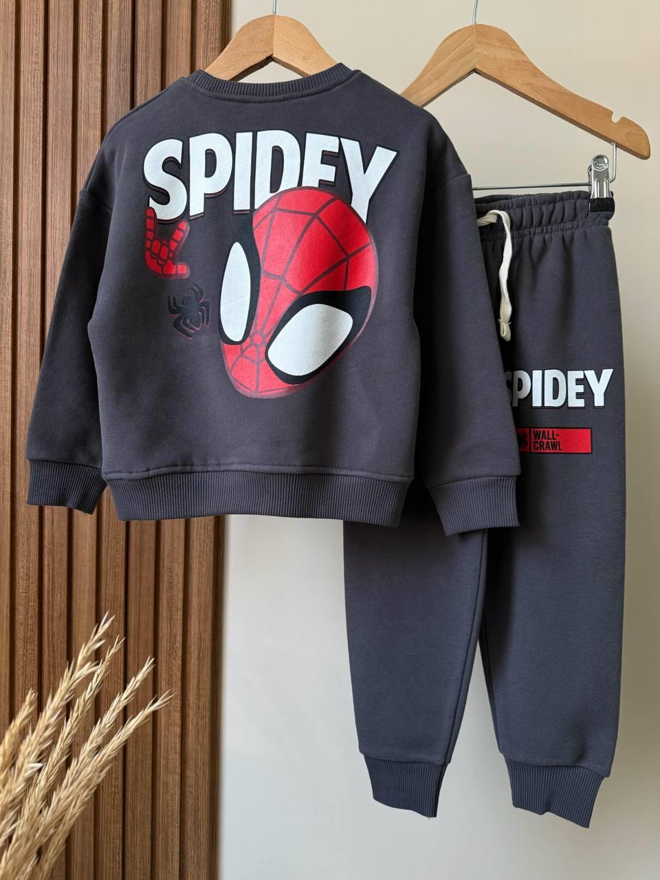 SPİDERMAN TAKIM