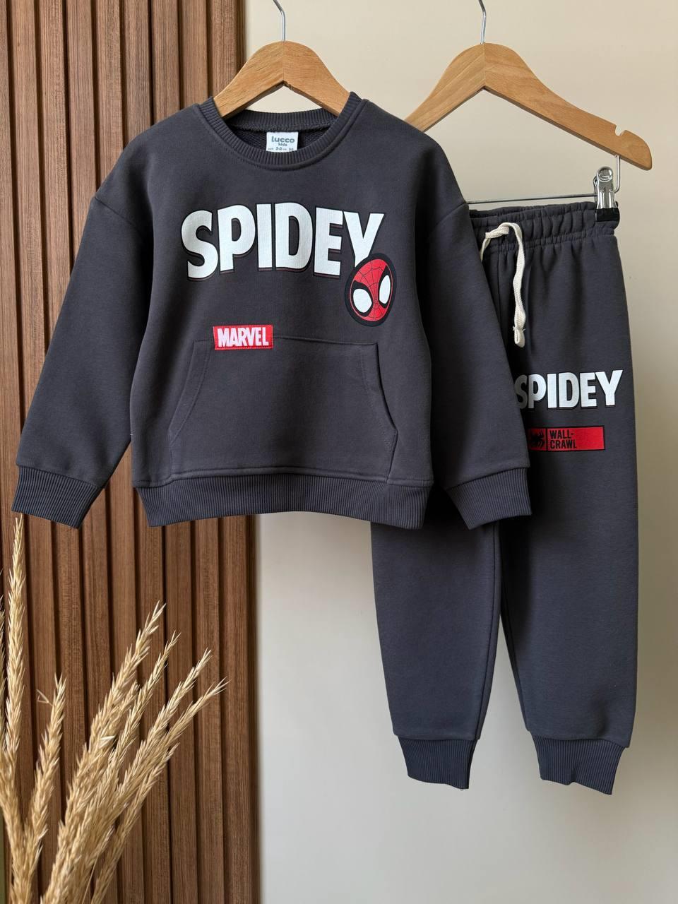 SPİDERMAN TAKIM