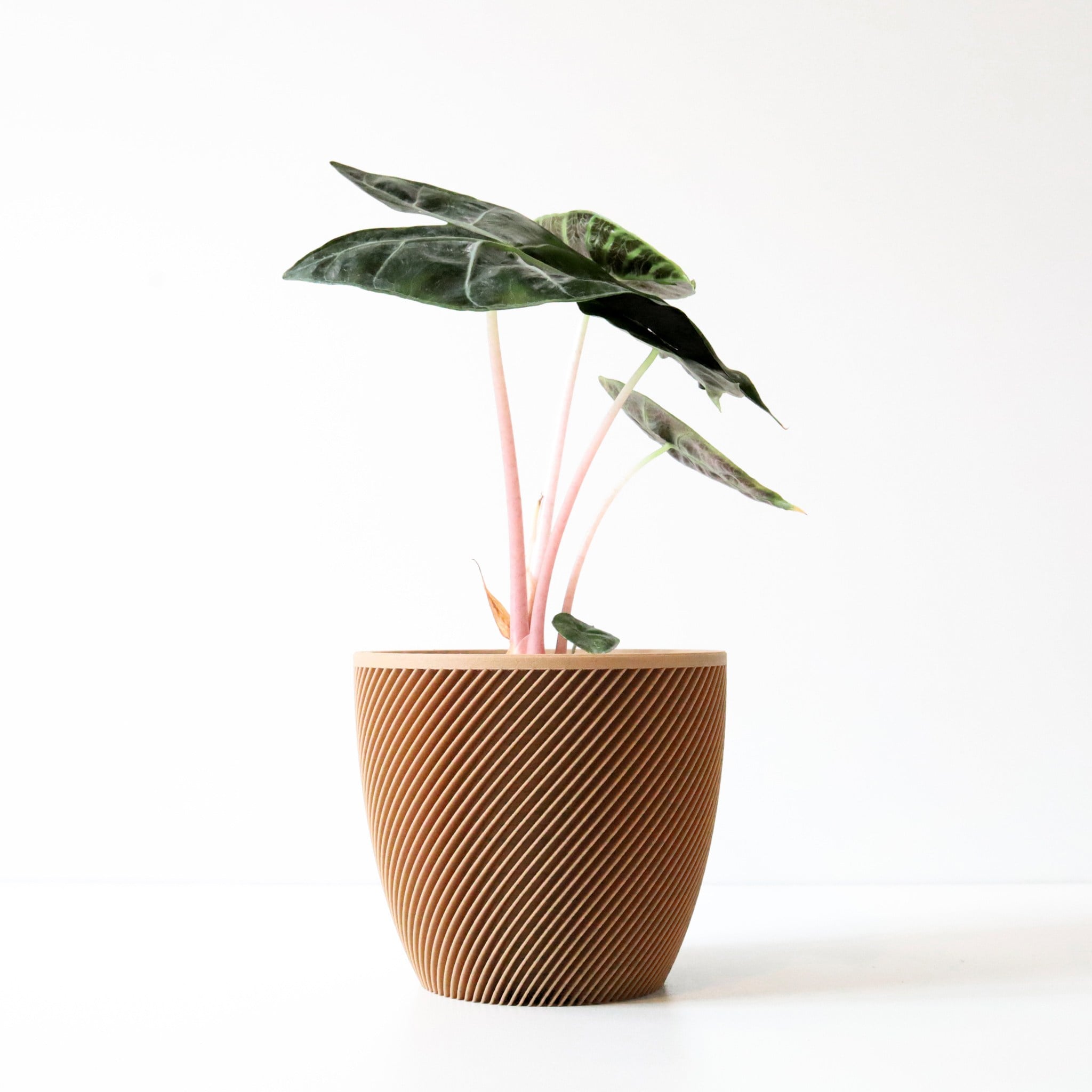 Smartfil Çam Katkılı PLA Filament - 750 g 1.75mm