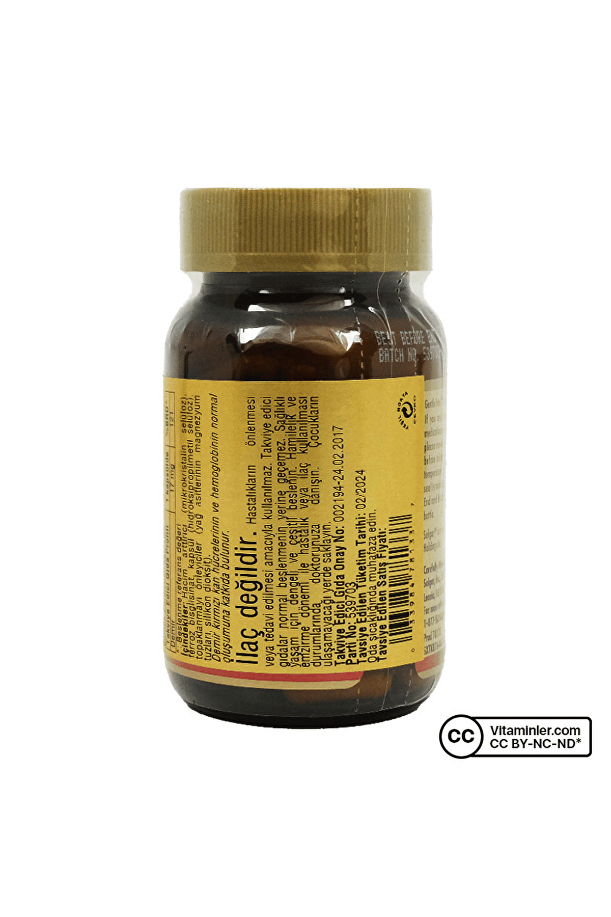 Gentle Iron 17 Mg 90 Kapsül