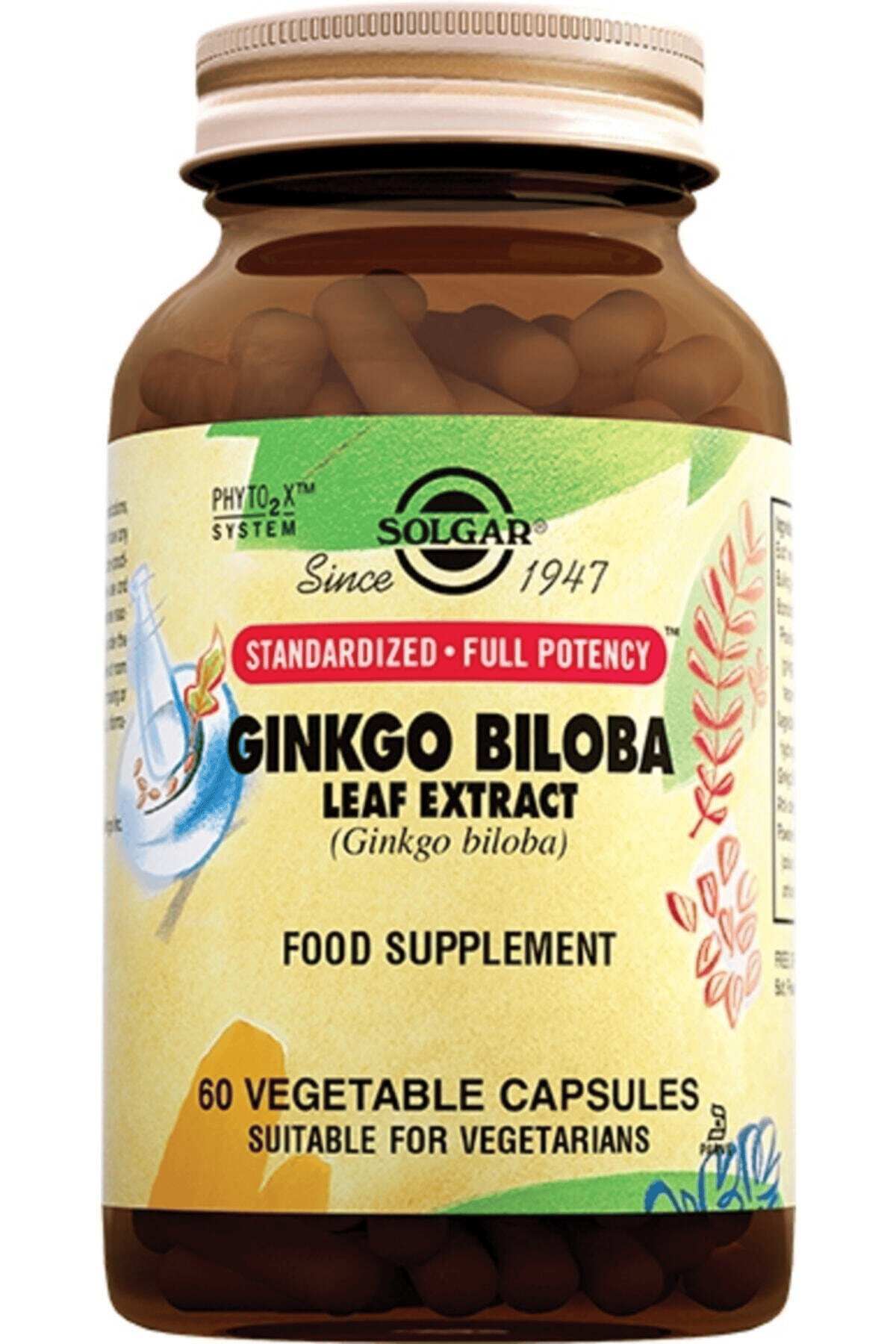 Ginkgo Biloba Leaf Extract 60 Kapsul