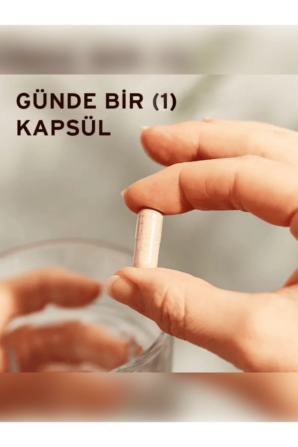 Rhodiola Root Extract (Standardize Rodiola Kök Ekstresi) 60 Kapsül