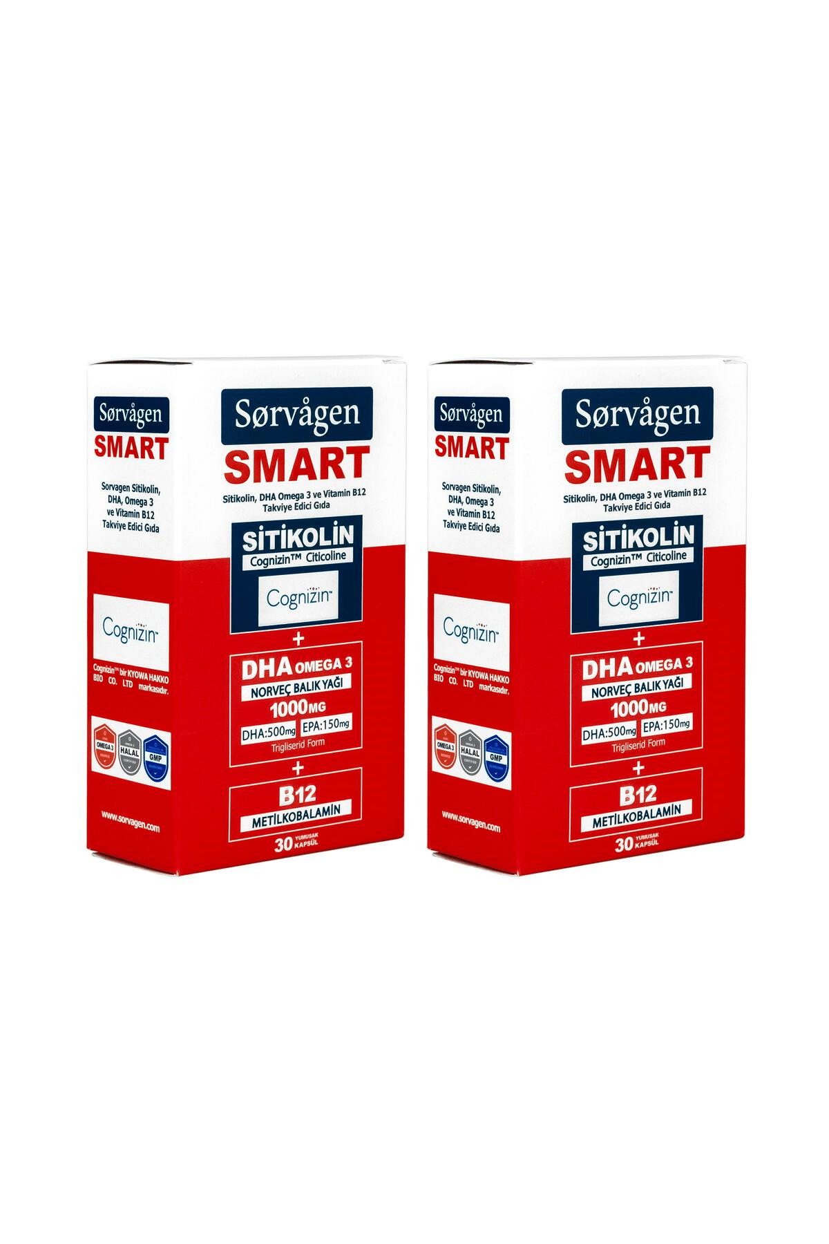 SİTİKOLİN, DHA OMEGA 3 VE B12 (30 KAPSÜL) - 2 Adet