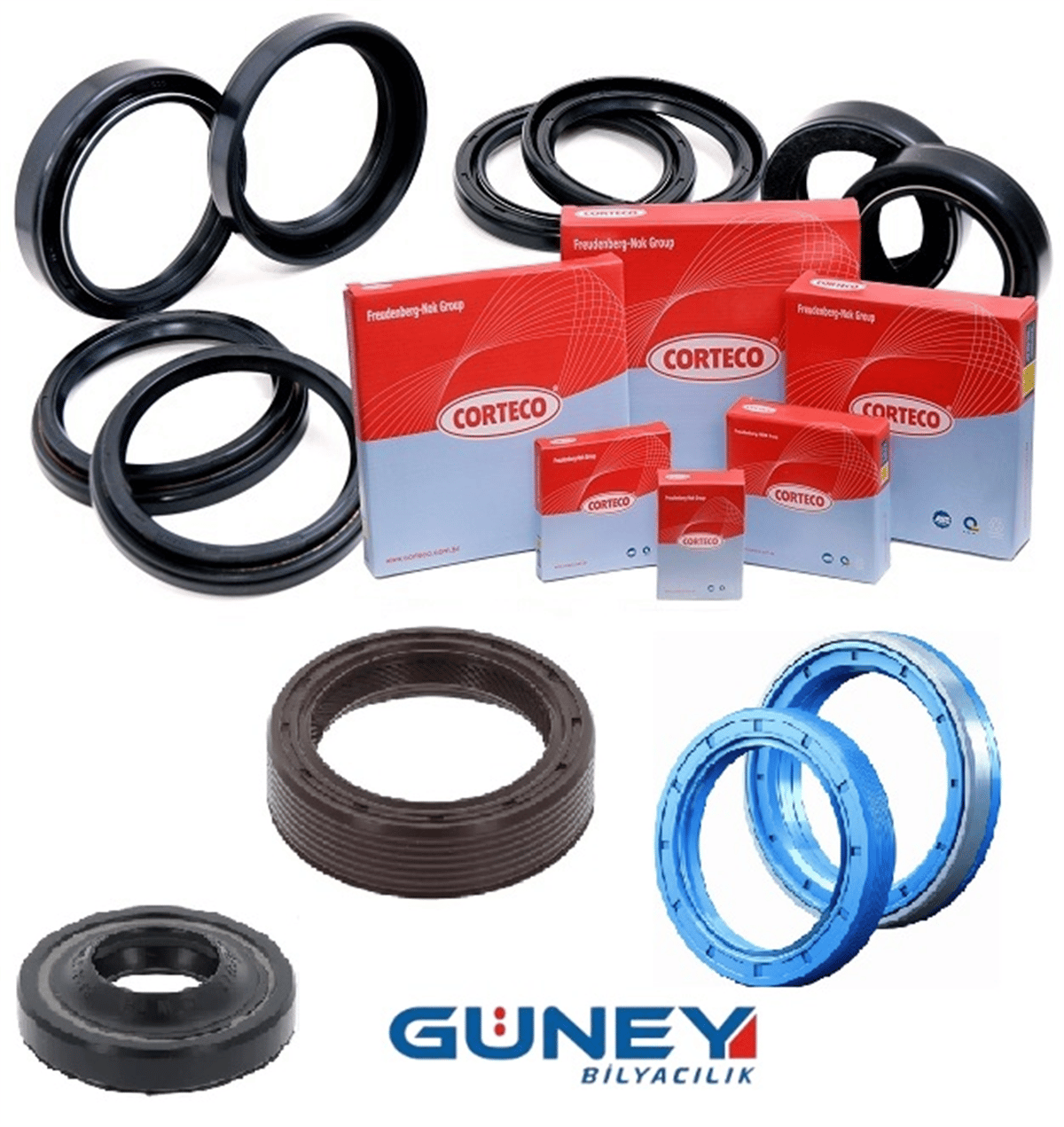 .10x15x3 B1OF NBR CORTECO YAG KECESI