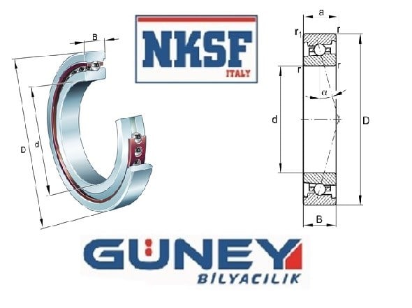 HS71902C CelIk MIsket KUCUk Tane