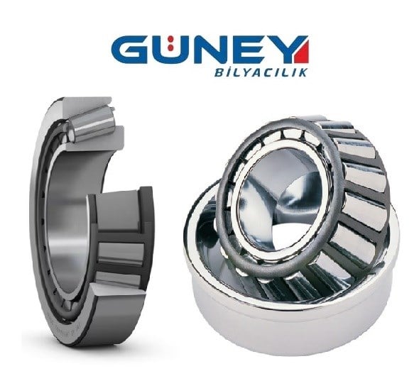 SKF RULMAN