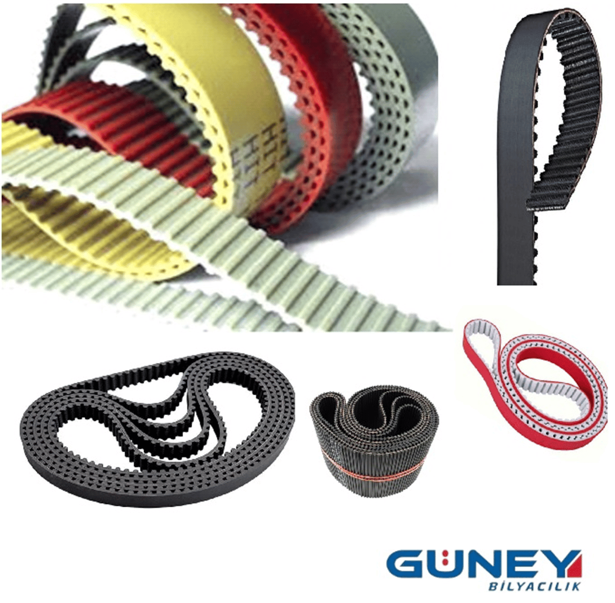 ZAMAN KAYISI 1050-5M-25