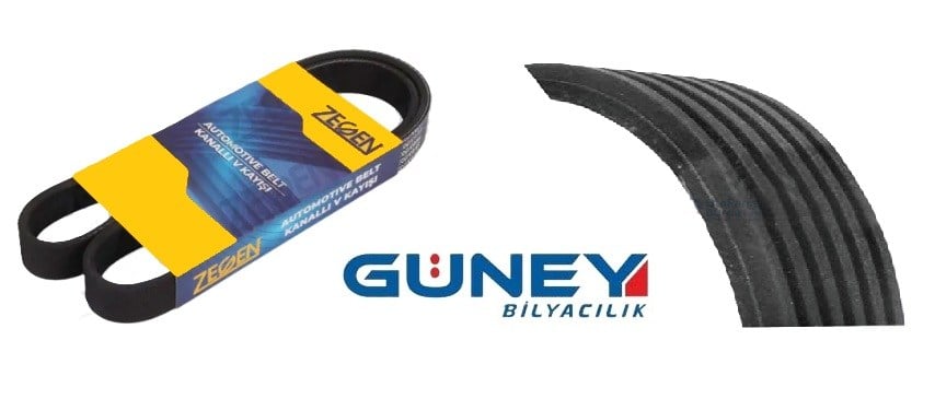 ZEGEN KANALLI KAYIŞ