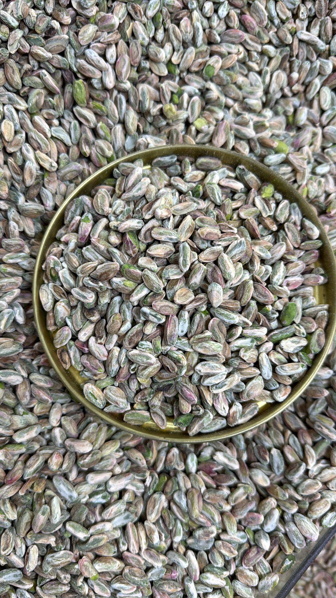 1.Sınıf Baklavalık ve Tatlılık Fıstık (kuş boku)