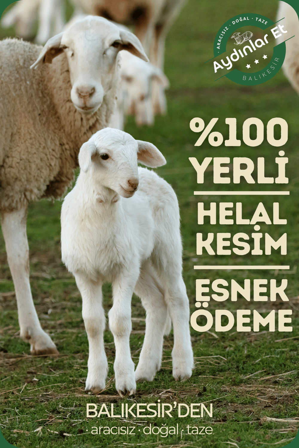 Üçlü Dana - 3 kg